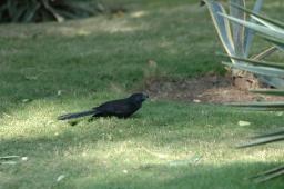 dsc_9196.jpg