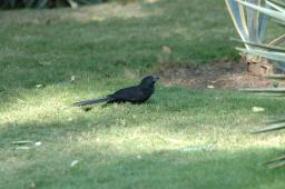 dsc_9197.jpg