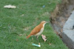 dsc_9198.jpg