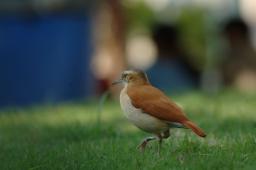 dsc_9202.jpg
