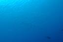 dsc_1864.jpg