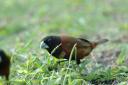 dsc_2190.jpg