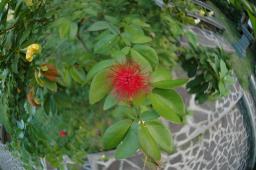 dsc_3283.jpg