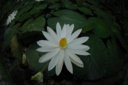dsc_3292.jpg