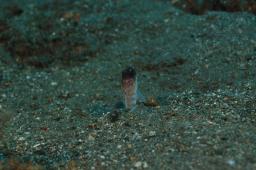dsc_3315.jpg