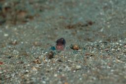 dsc_3316.jpg