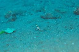 dsc_3347.jpg