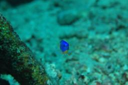 dsc_3370.jpg