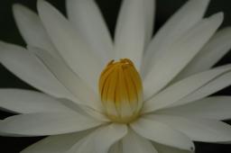 dsc_3384.jpg