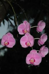 dsc_3549.jpg