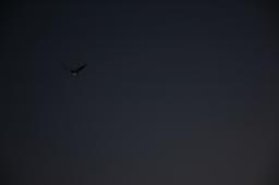 dsc_3567.jpg