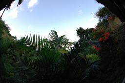 dsc_3582.jpg