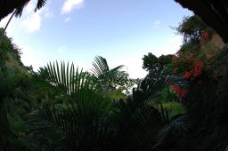 dsc_3583.jpg