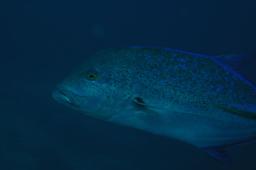 dsc_3605.jpg