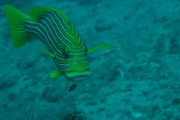 dsc_3647.jpg
