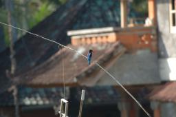 dsc_4087.jpg