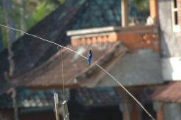 dsc_4088.jpg