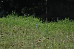 dsc_4092.jpg