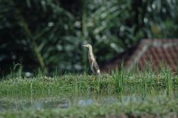 dsc_4123.jpg