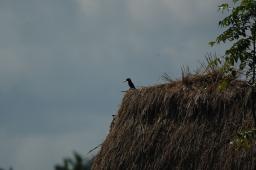 dsc_4145.jpg
