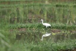 dsc_4146.jpg