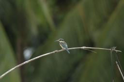 dsc_4161.jpg