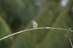 dsc_4164.jpg