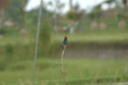 dsc_4173.jpg