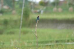 dsc_4174.jpg