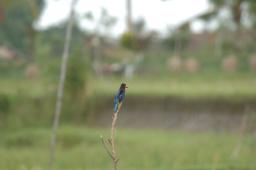 dsc_4179.jpg