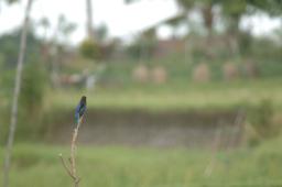 dsc_4182.jpg