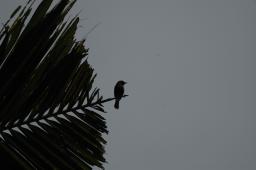 dsc_4187.jpg