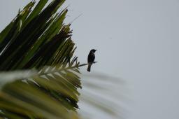 dsc_4191.jpg