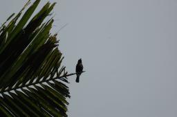 dsc_4192.jpg