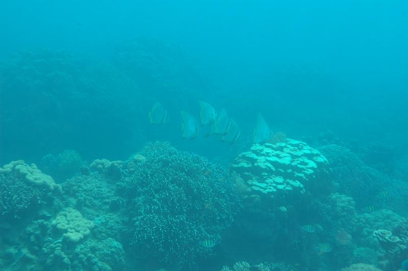 DSC_0562.JPG