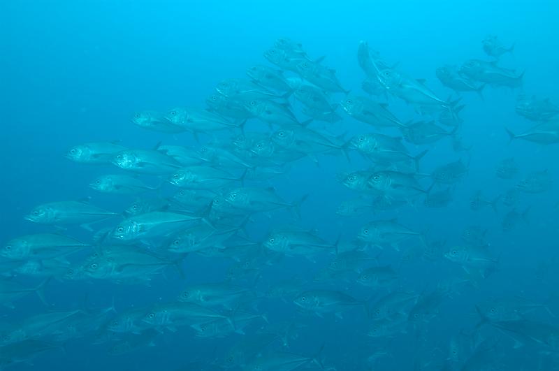 DSC_0565.JPG