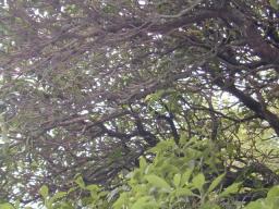 dscn0029.jpg