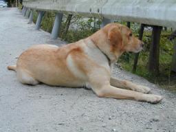 dscn0093.jpg