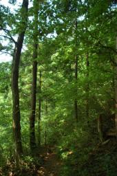 dsc_2277.jpg