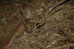 dsc_2324.jpg