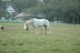 dsc_2350.jpg