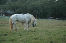 dsc_2368.jpg