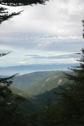 dsc_3002.jpg