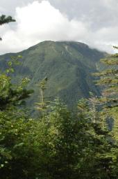 dsc_3013.jpg