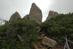 dsc_3044.jpg