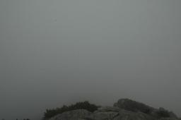 dsc_3056.jpg