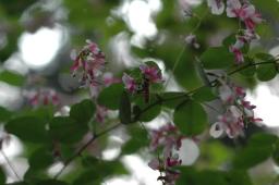 dsc_3112.jpg