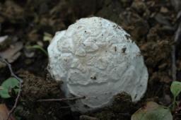 dsc_3122.jpg