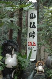 dsc_3125.jpg