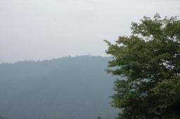 dsc_3129.jpg